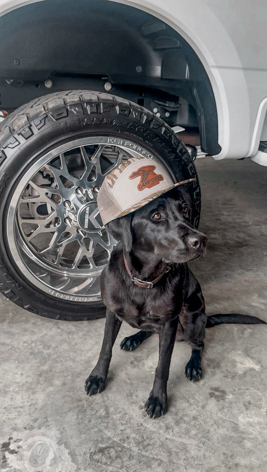 Richardson 168P 7-Panel Mossy Oak Bottomland/Loden